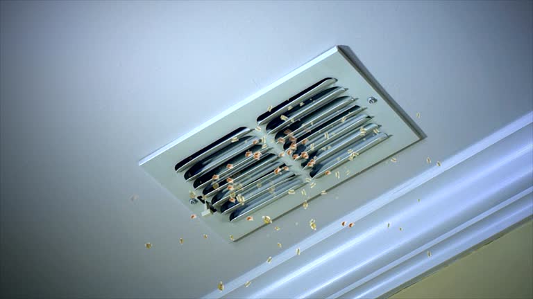 Best Ventilation Cleaning Services  in Walker Mill, MD