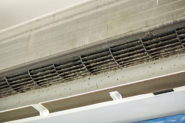 Best Local Air Duct Cleaning Services  in Walker Mill, MD